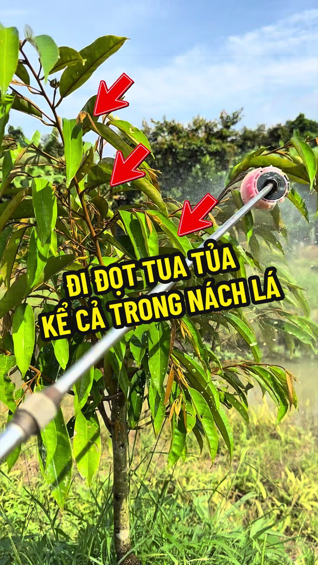 @Hộ Kinh Doanh H&agrave;o - Hưng