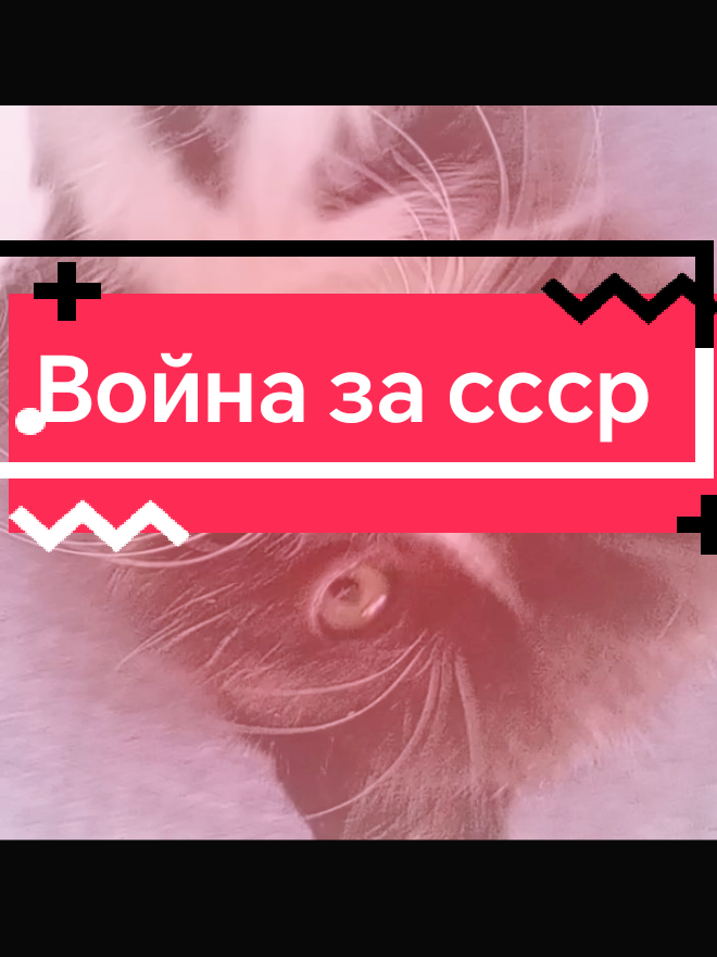 @🪦 solь🪦