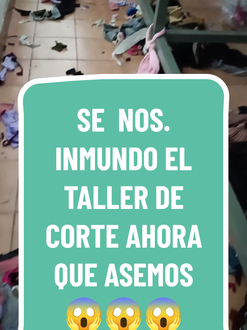 @creaciones C&O
