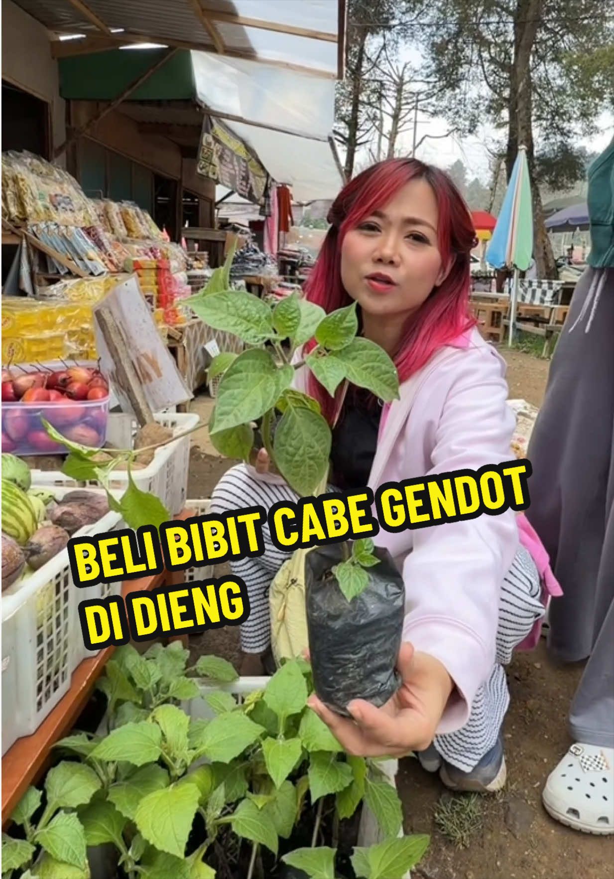 @Gina Angelia