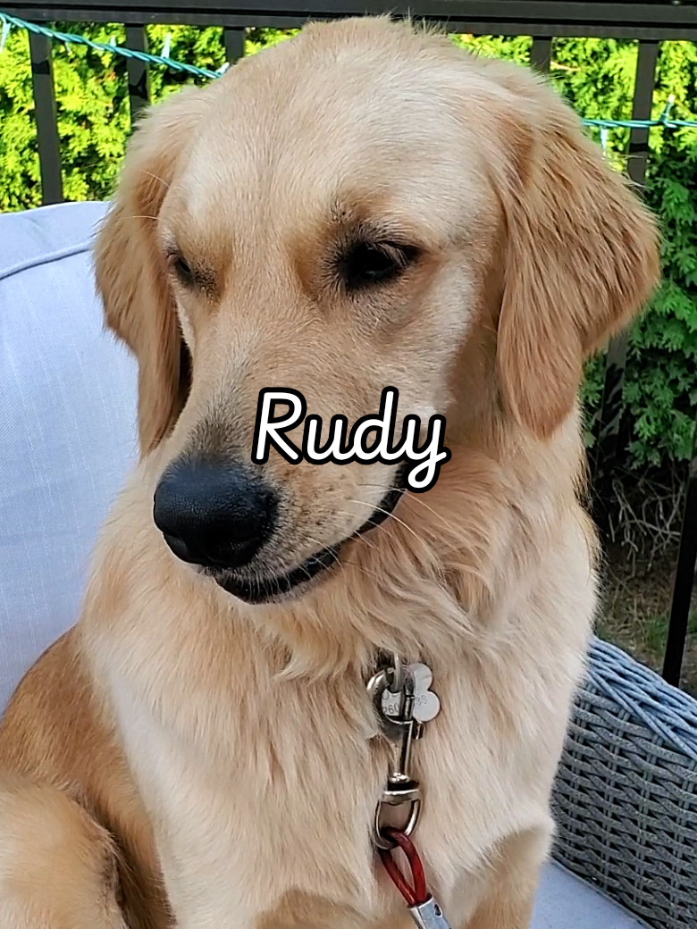 @Burnzy