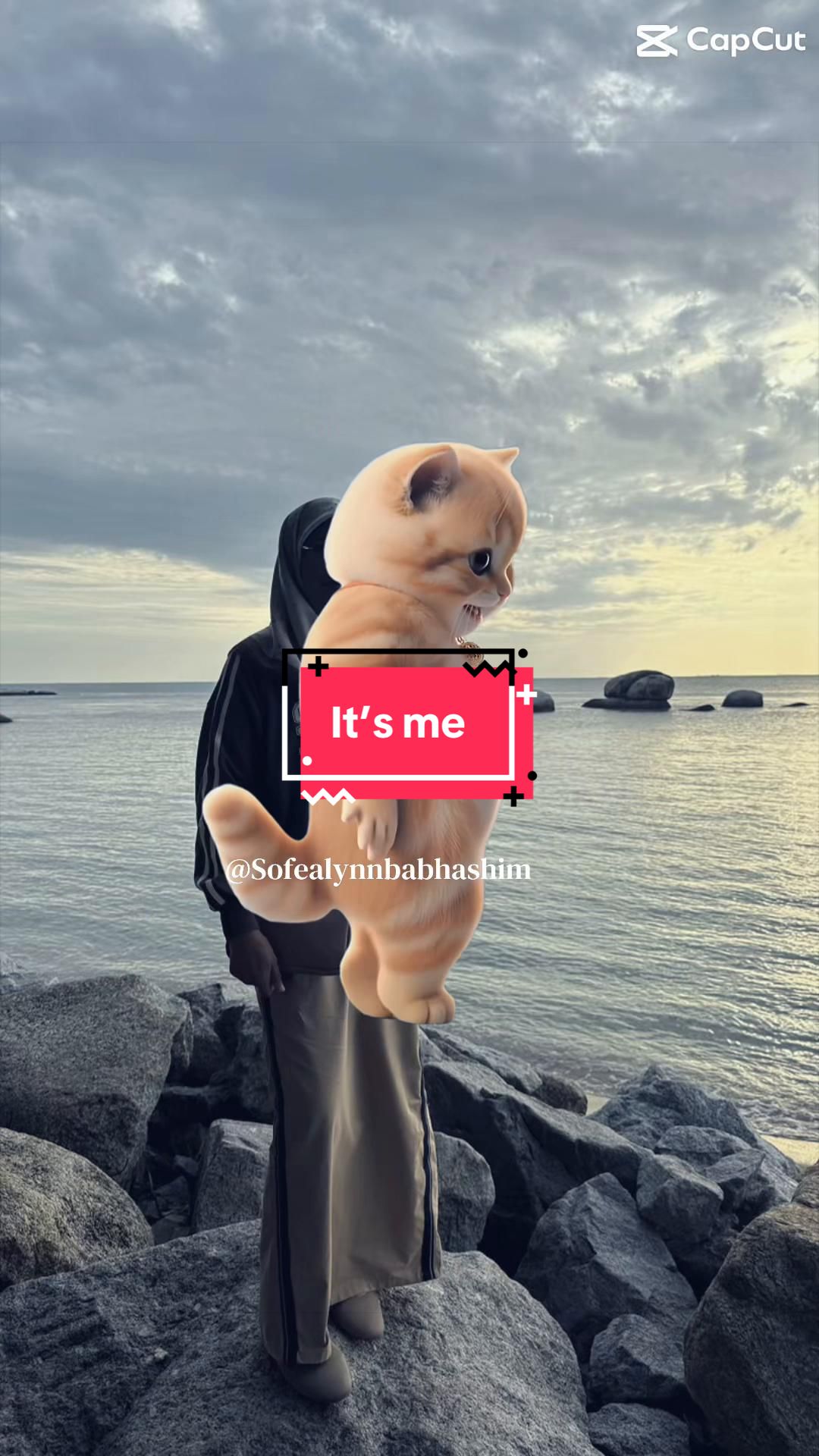 @ֆօʄɛǟʟʏռռ