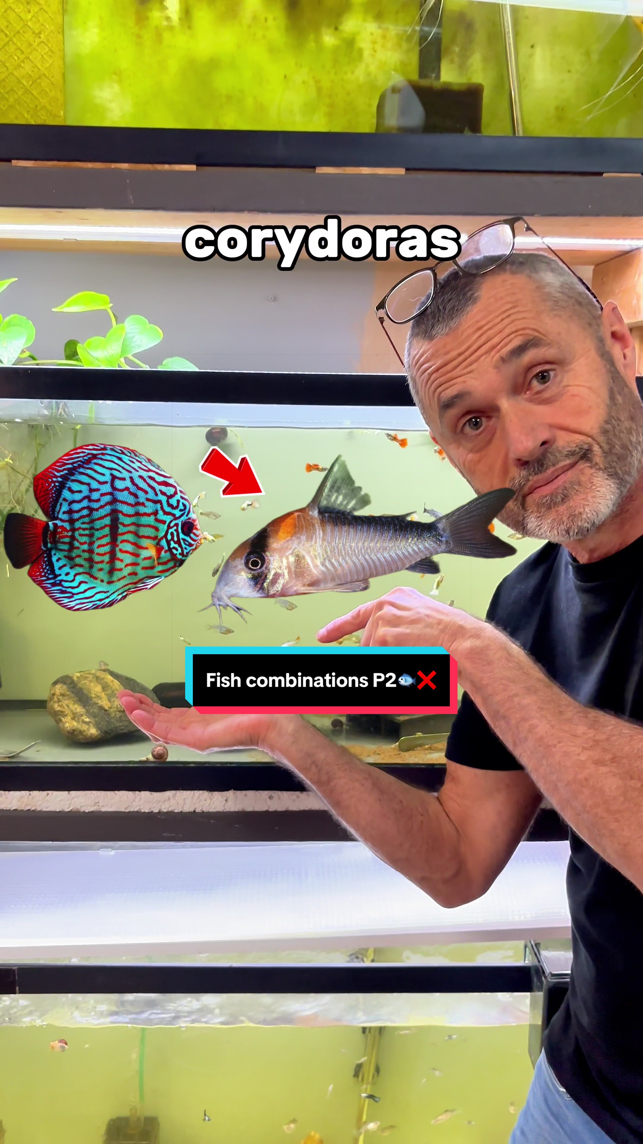 @ShrimplyTheBest