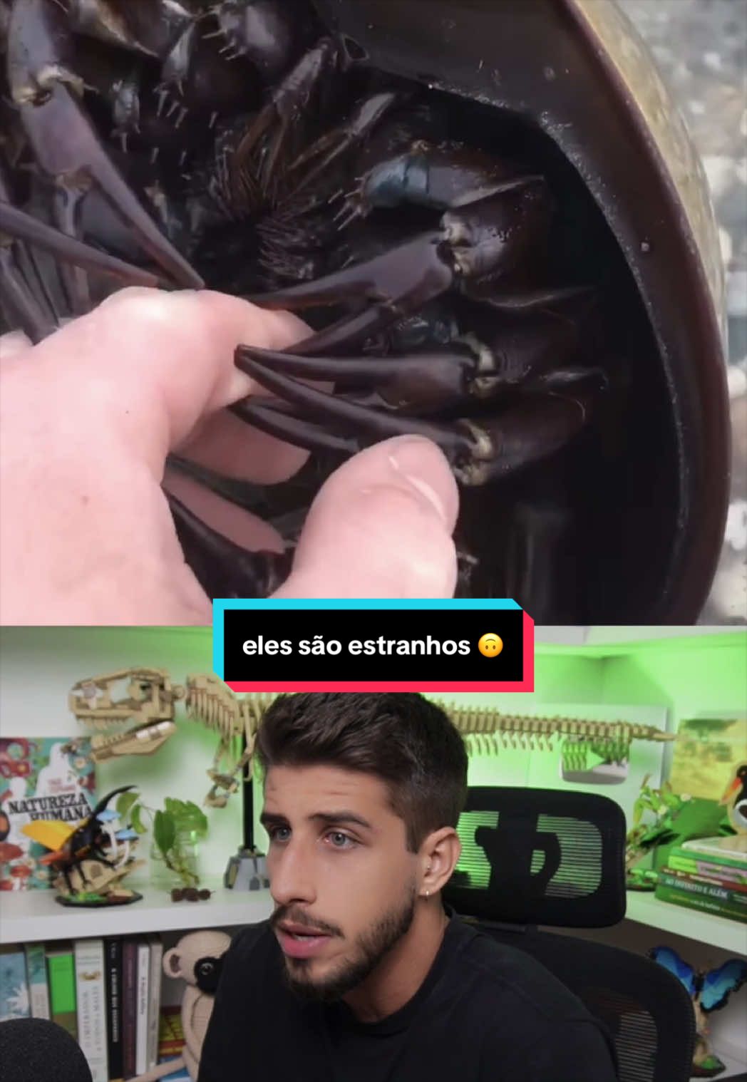 @Yago Stephano