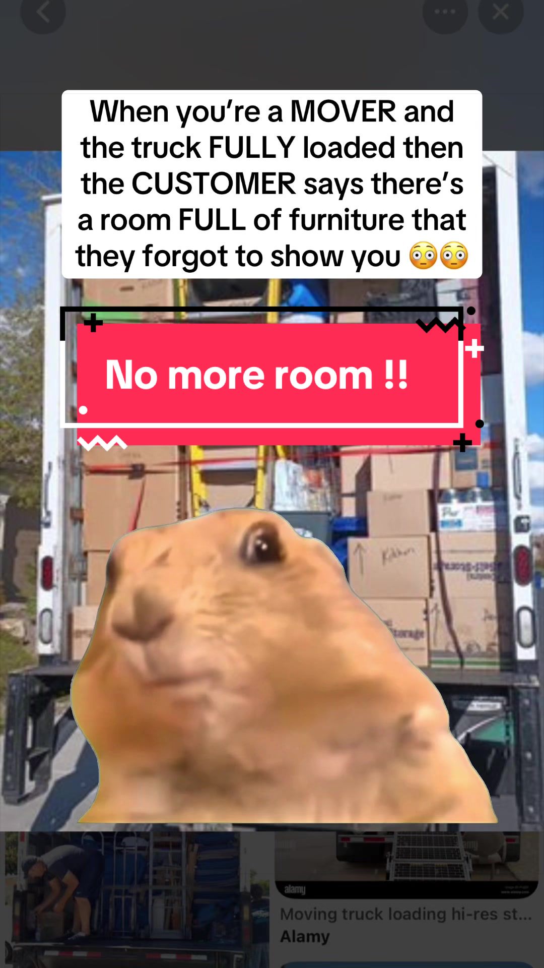 @mightymoverpauly 🇨🇦