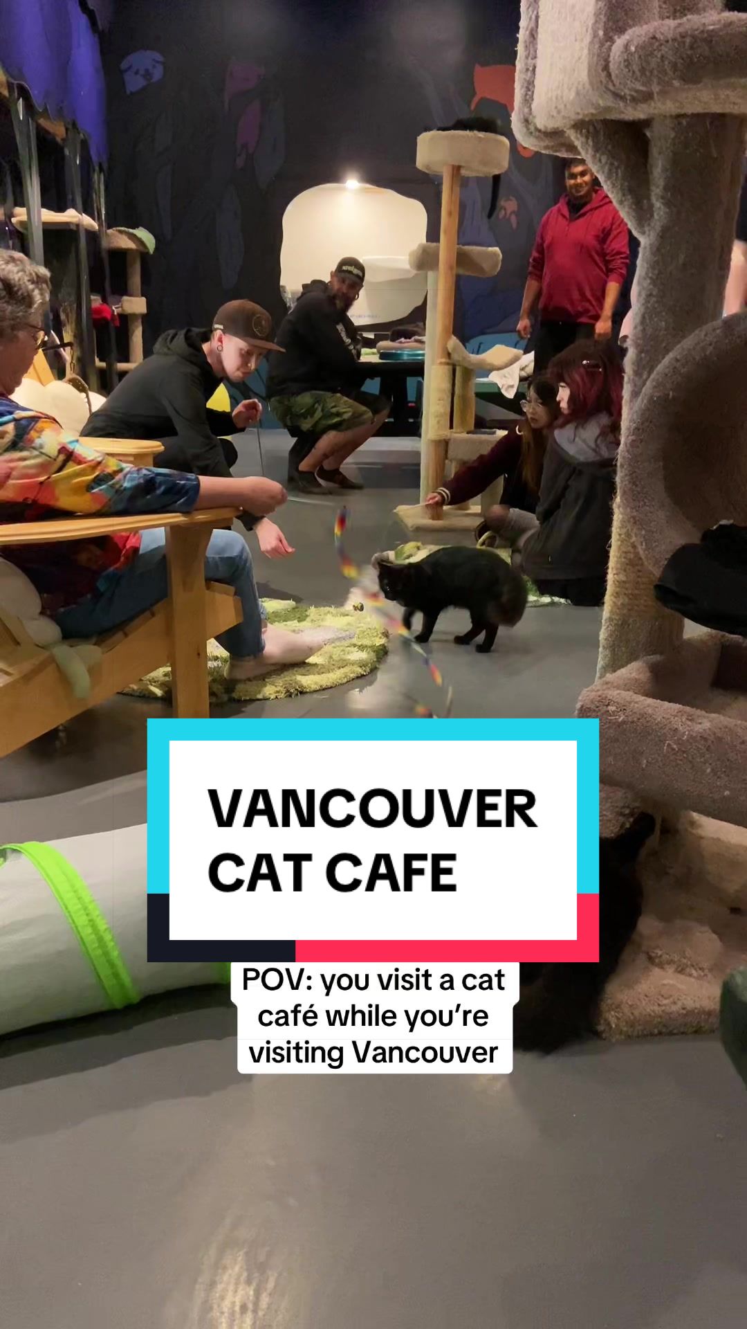 @Catoro Cat Cafe