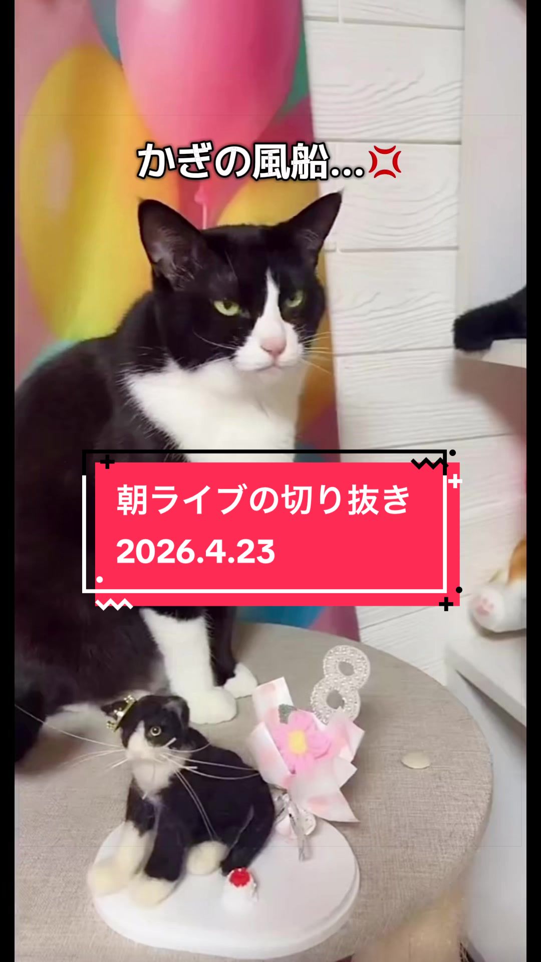 @👑ミキティ👑🙀🍜🙀🌿