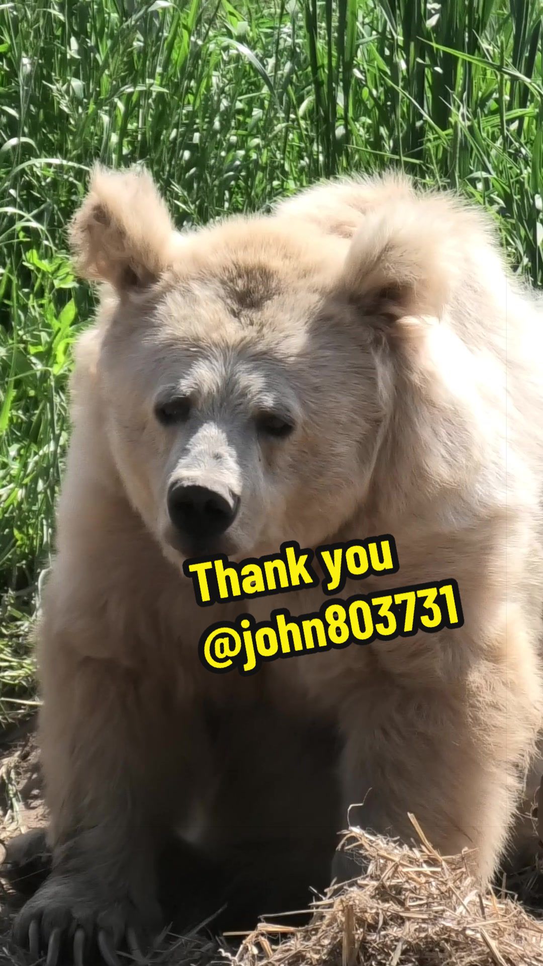 @Whiterock.savewildfund