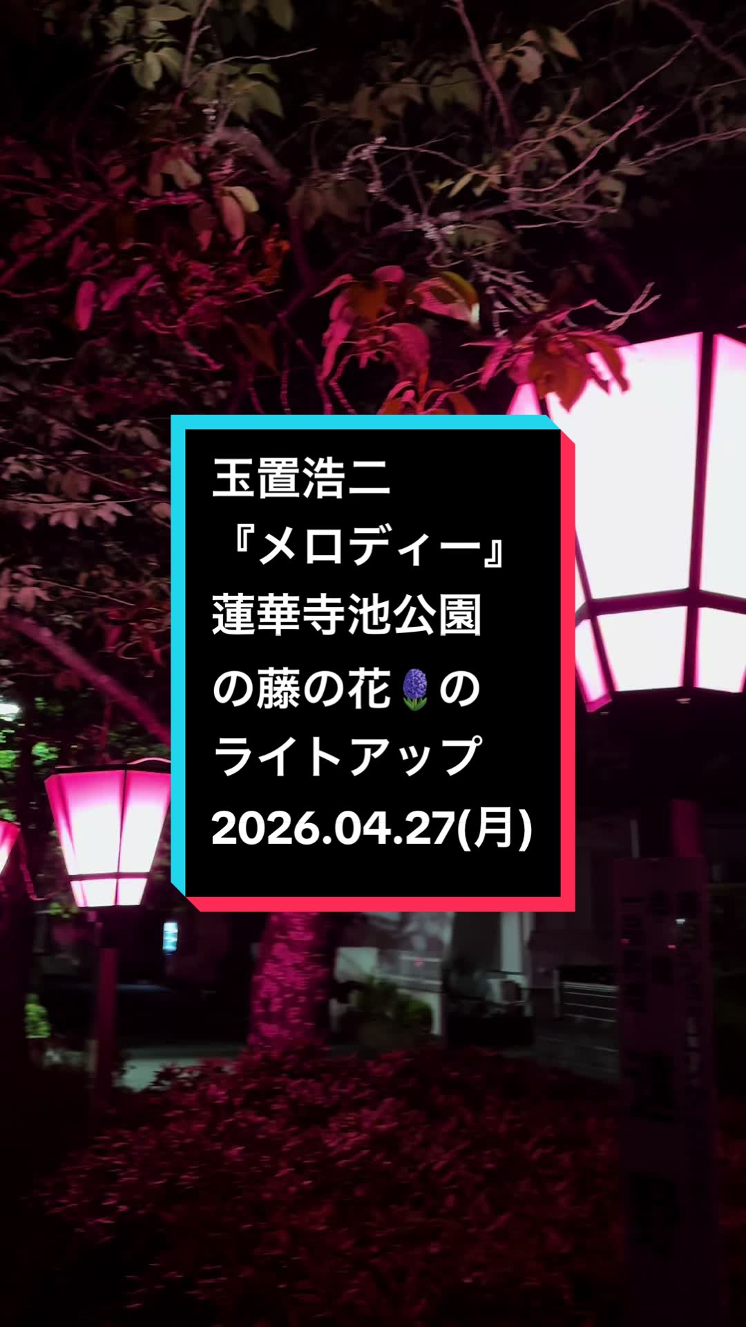 @ゆる