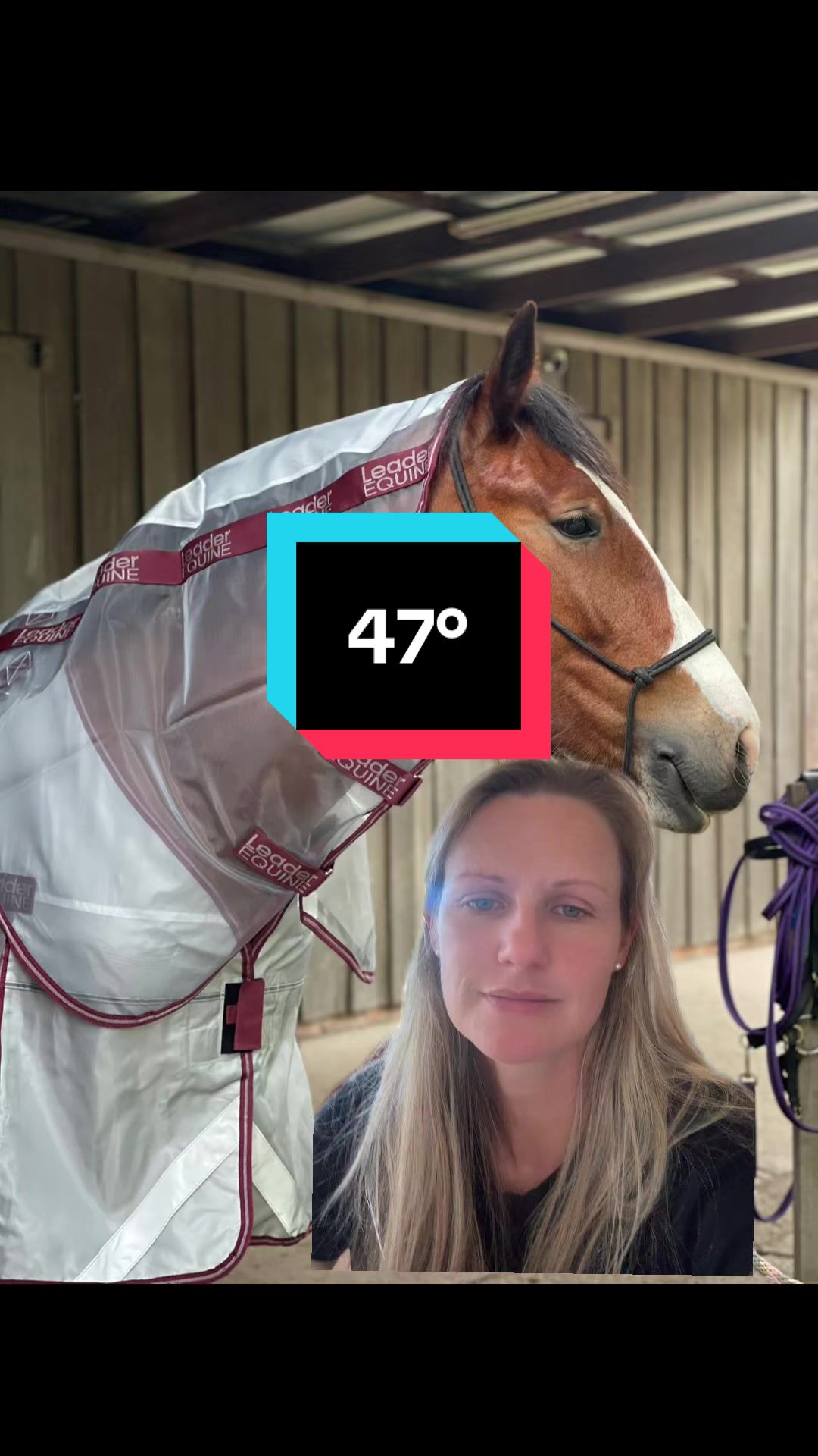 @Leader Equine