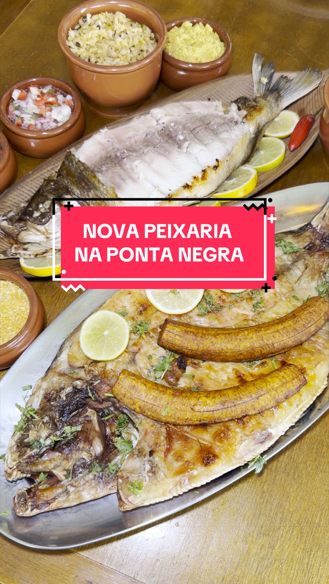 @O que fazer em Manaus?