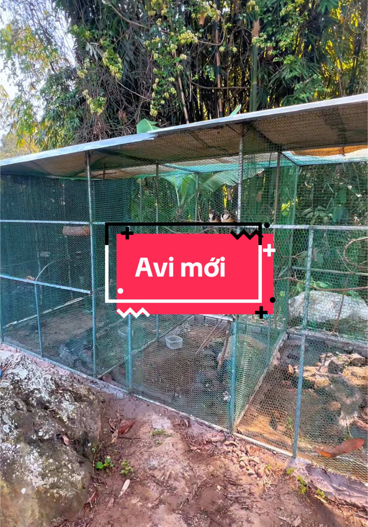 @C&C Miền N&uacute;i ⛰️