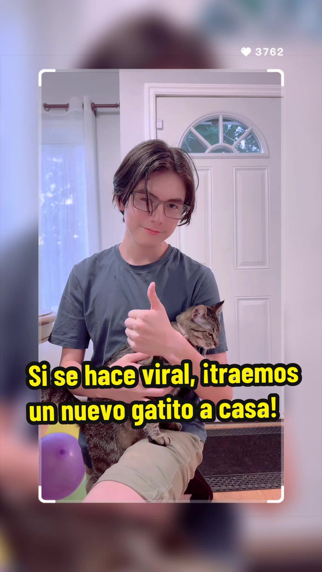 @Amalia S. Savignone