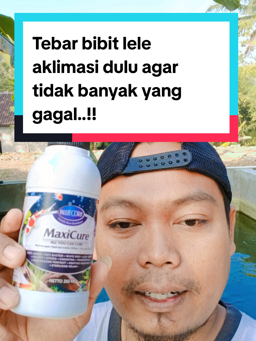 @Kang_Ewi