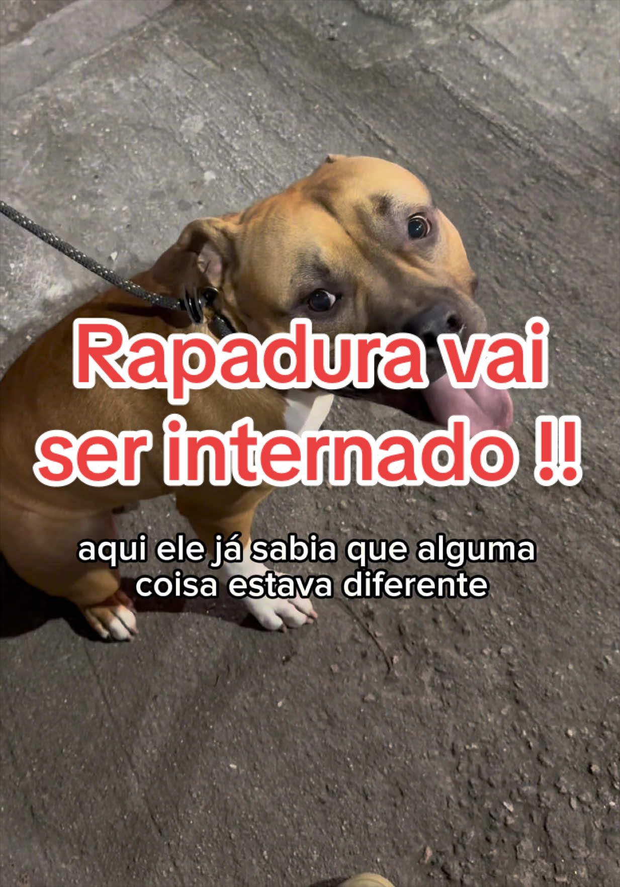 @Hanan&Rapadurabully