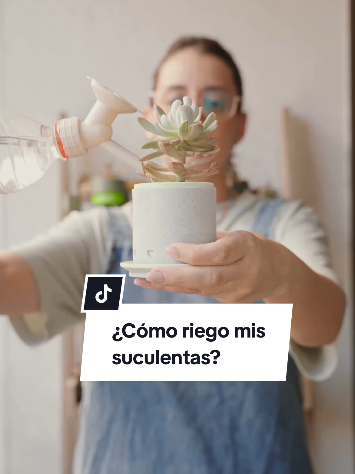 @Molicetas