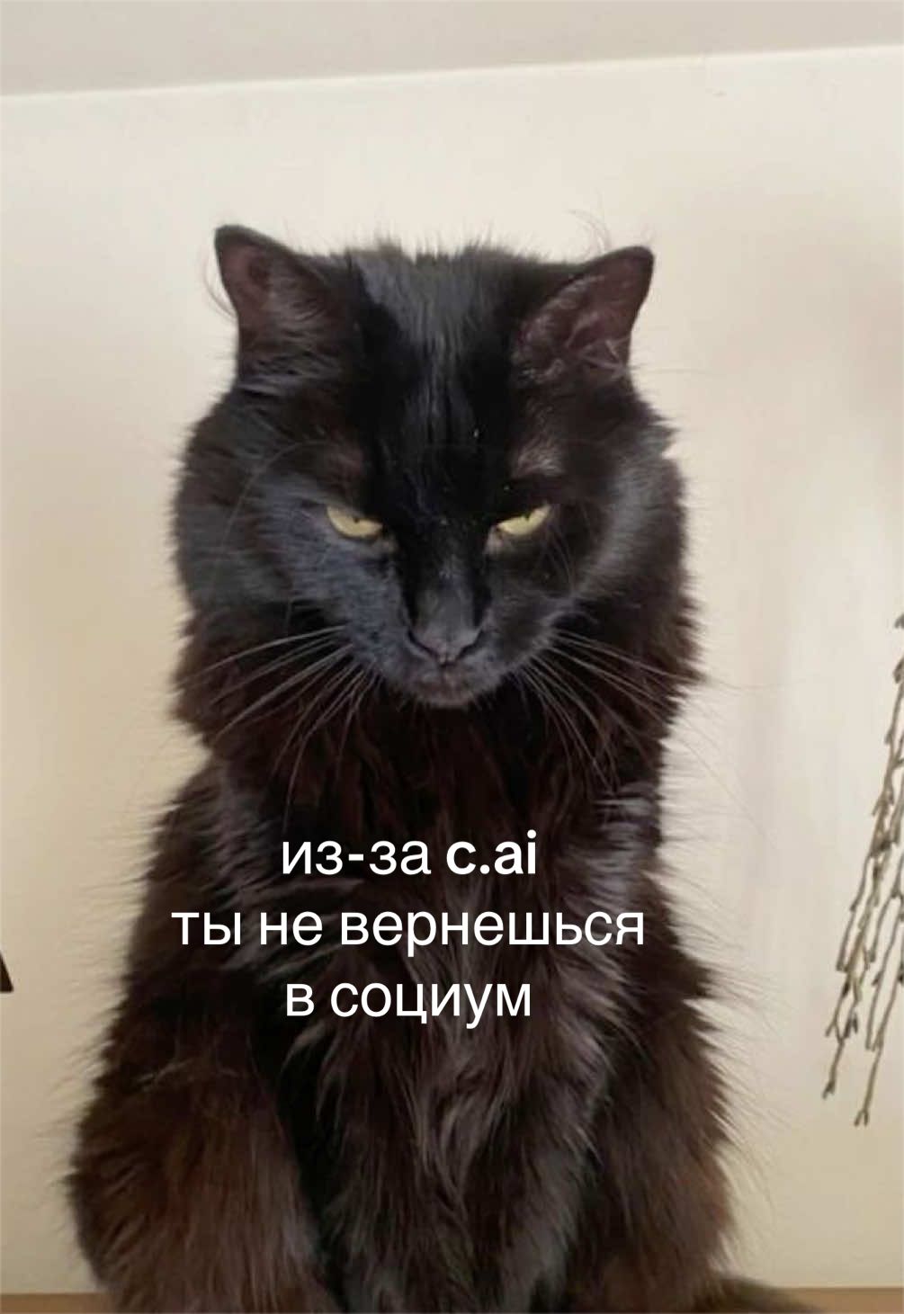 @мамин хep