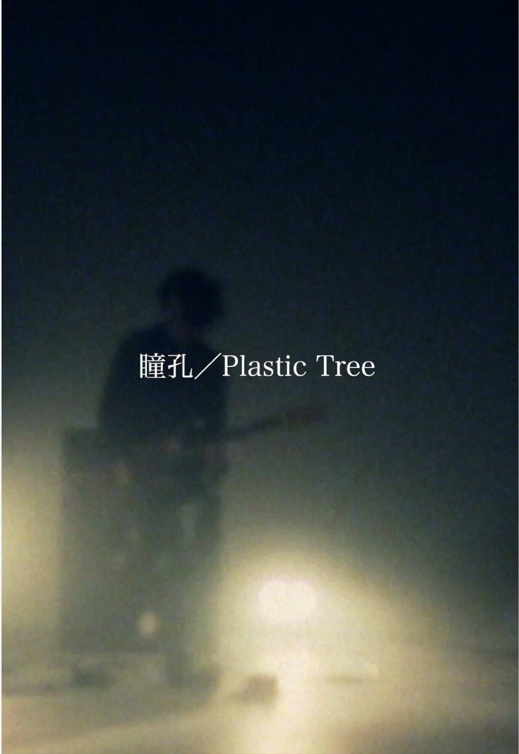 @Plastic Tree_official