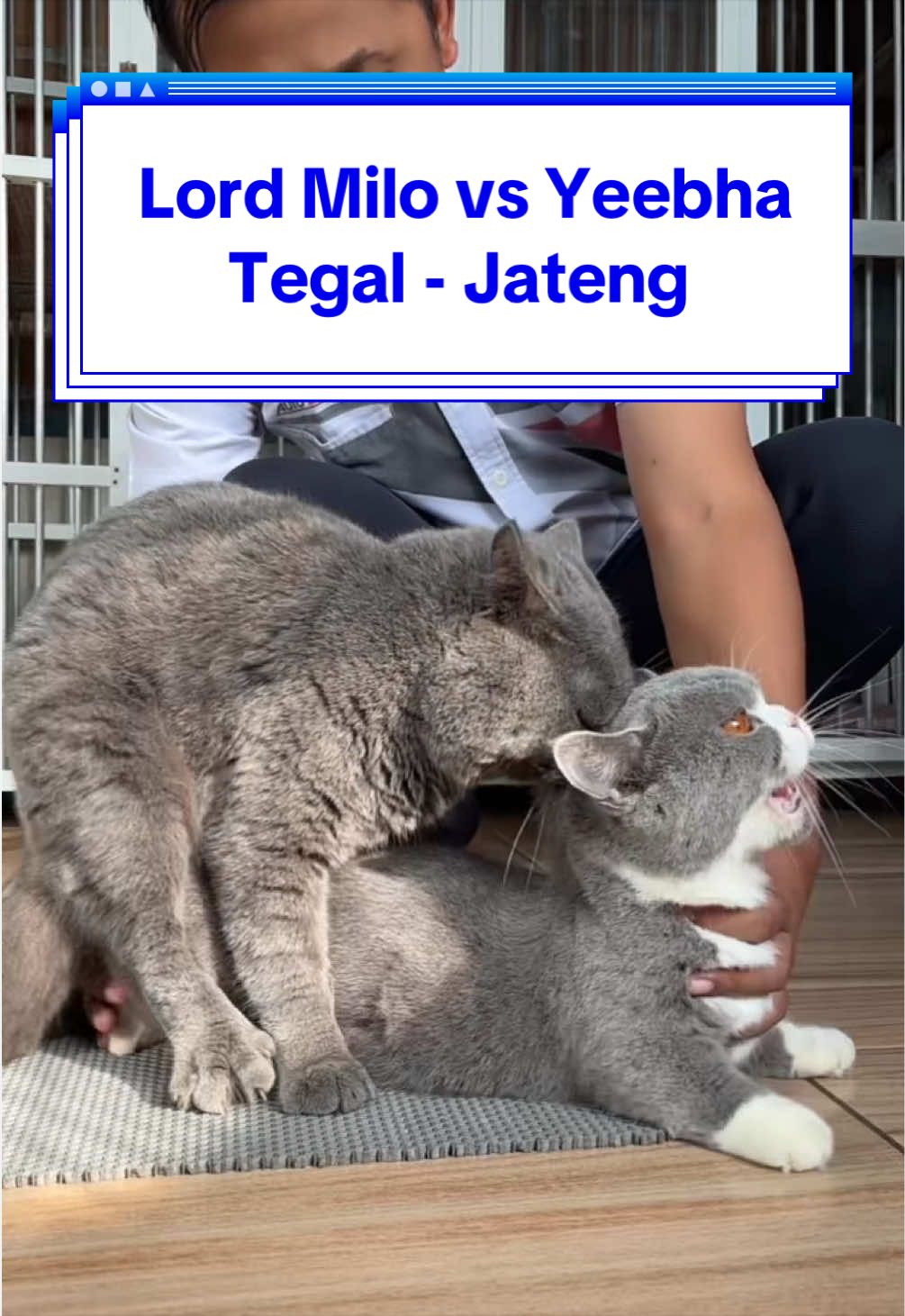 @Jasa Pacak BSH