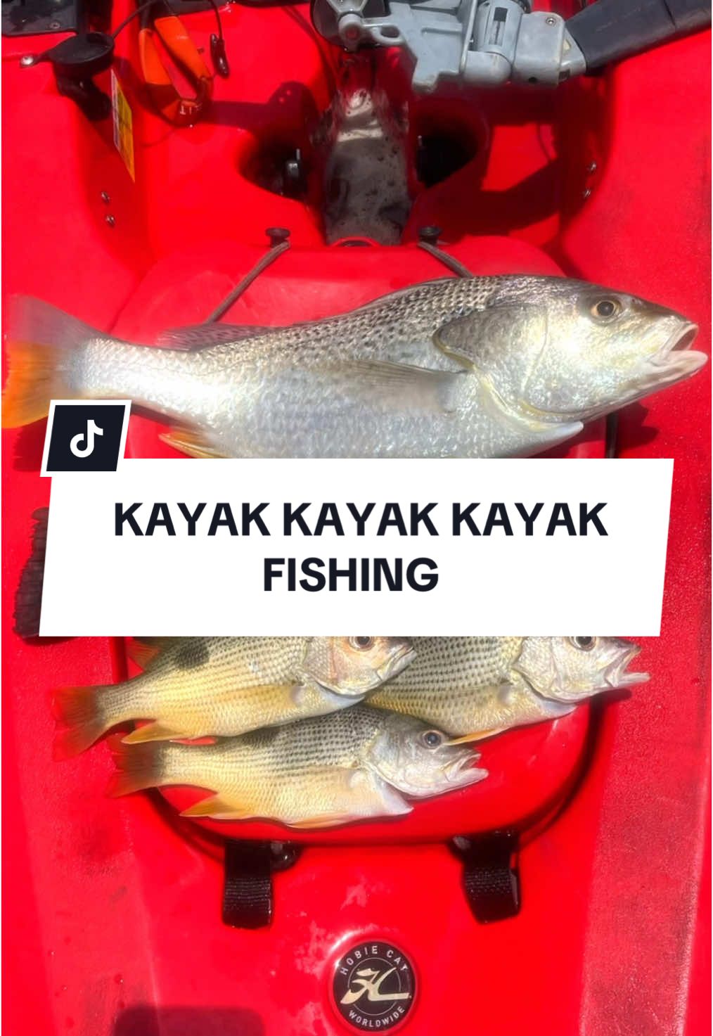 @FishwrexSG
