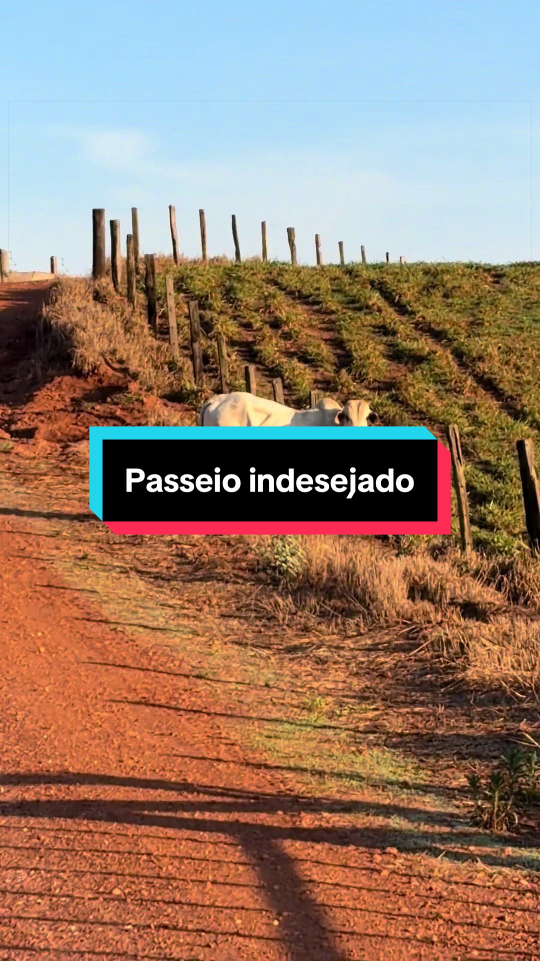 @🍀Santos🚜