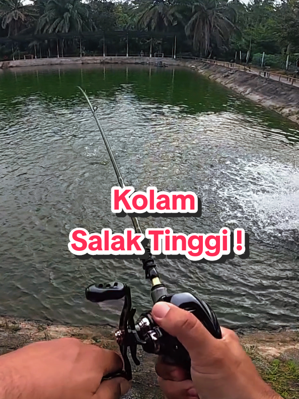 @Paan Pacak