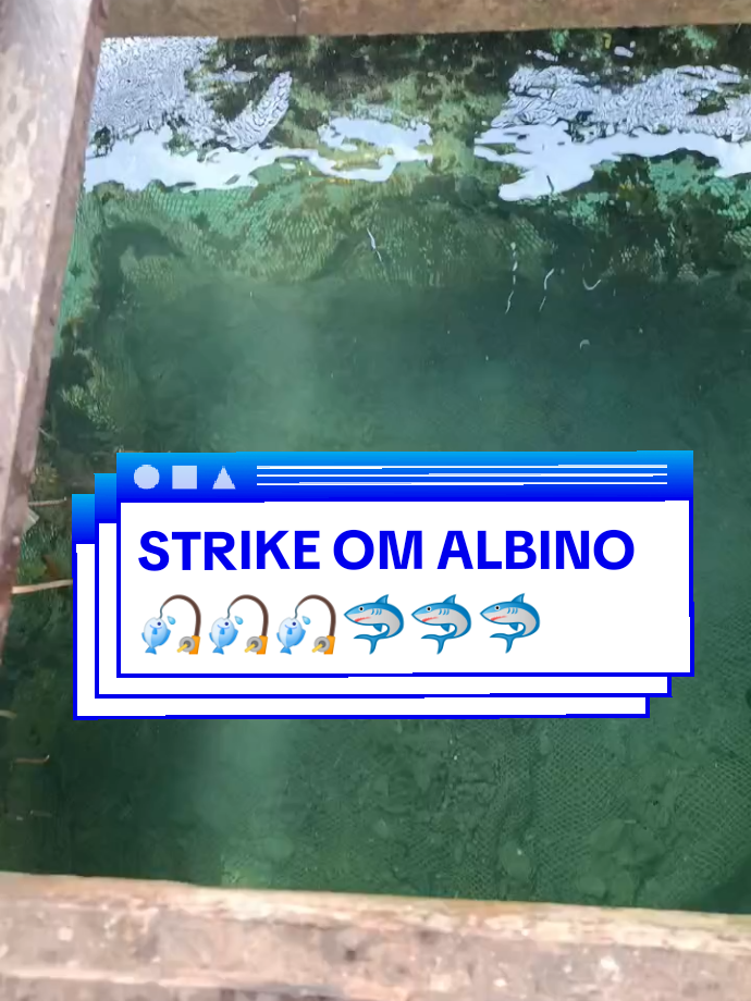 @Om Been