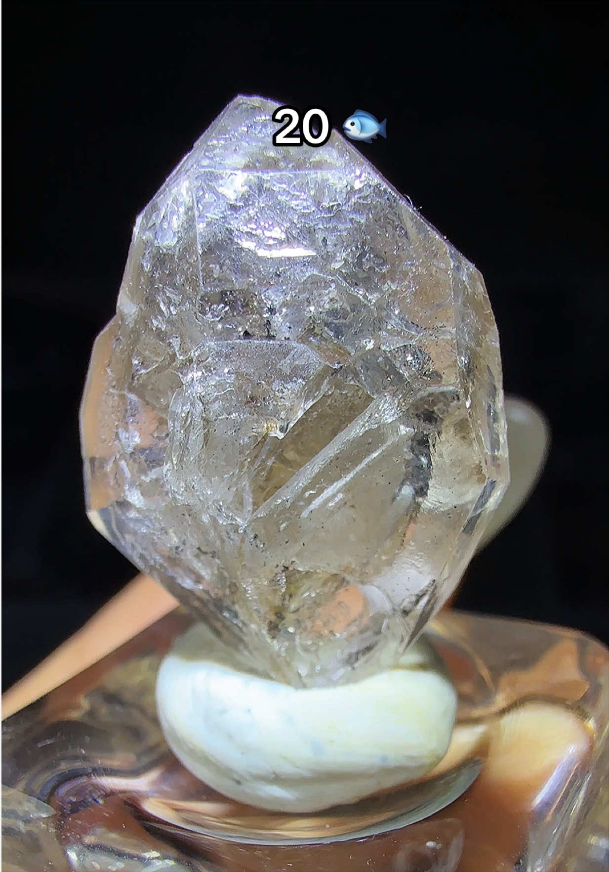 @Halen Crystal