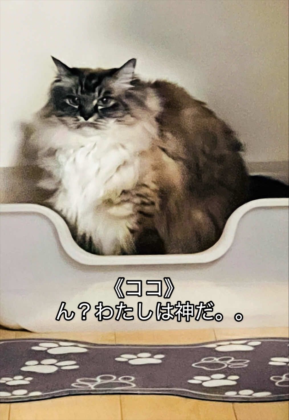 @聴々物語PROJECT