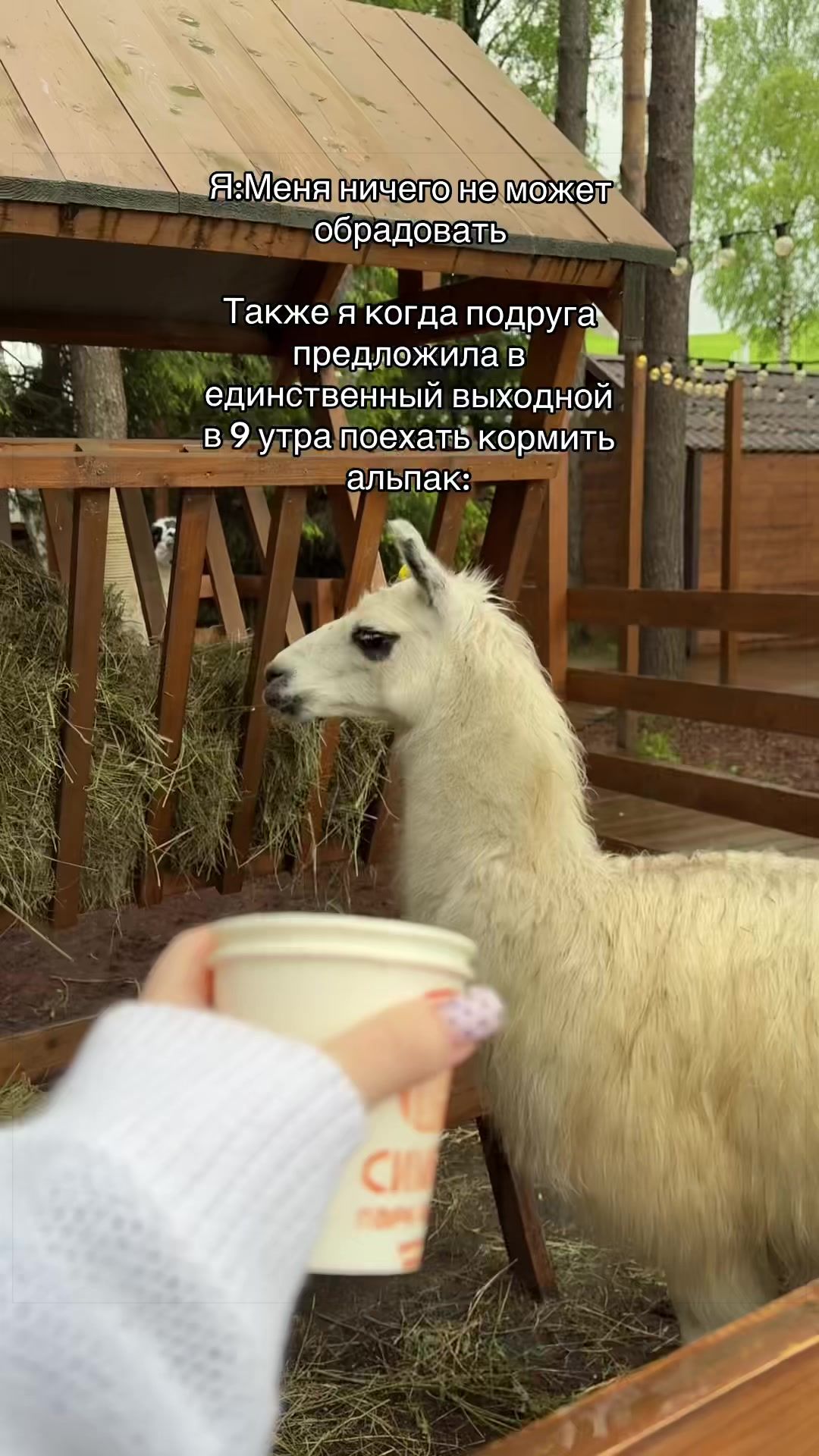 @Сливовая Оля★