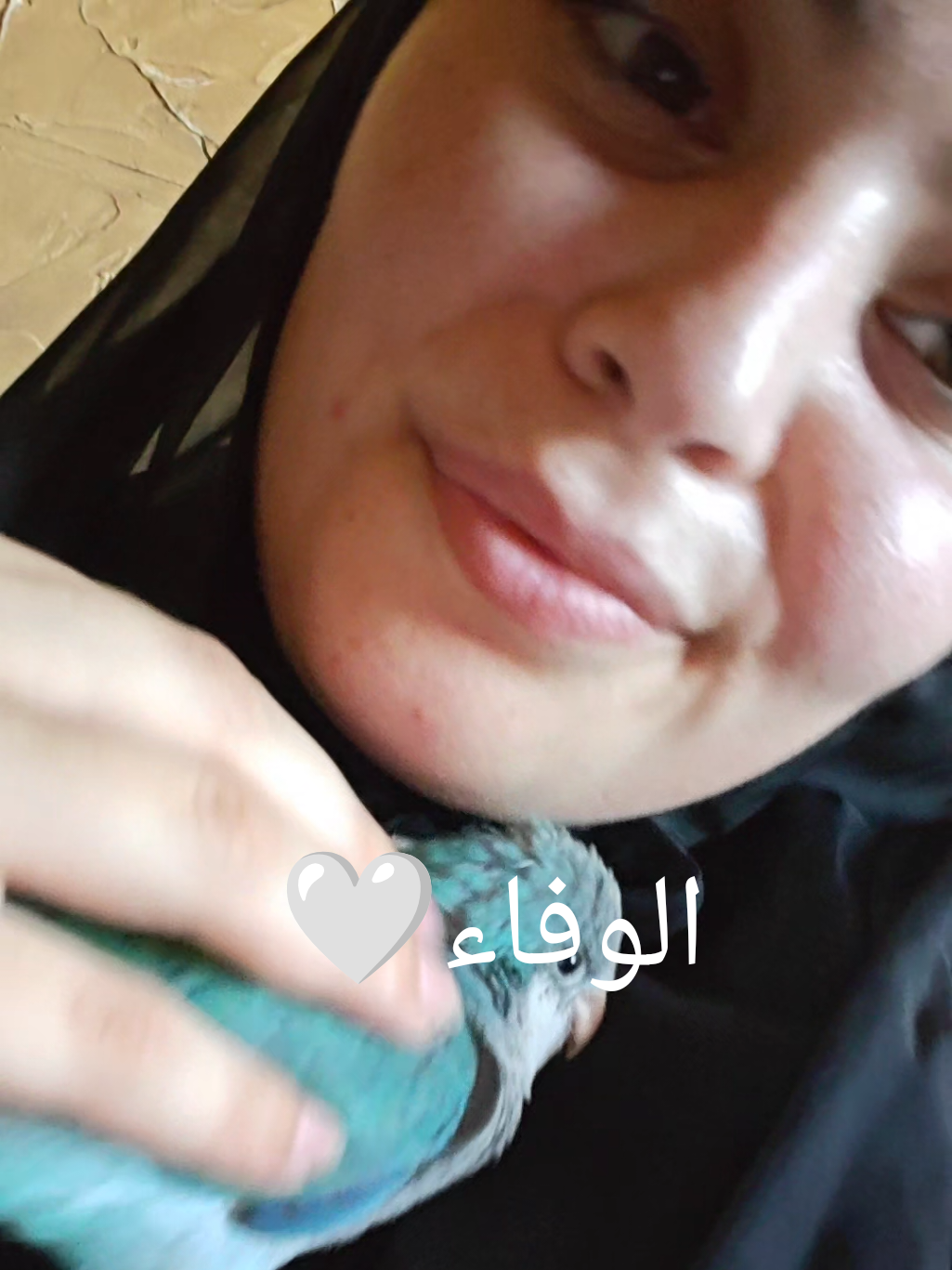 @Chazahob