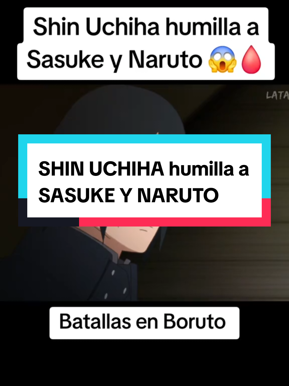 @Fans de Anime