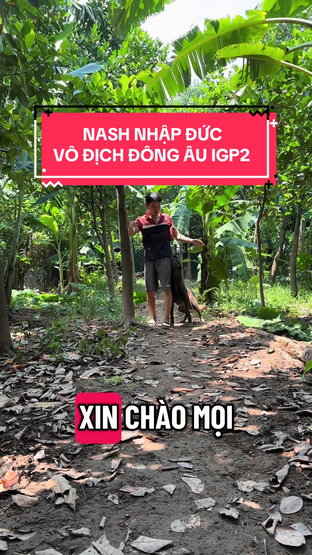 @Hồng long bi&ecirc;n malinois