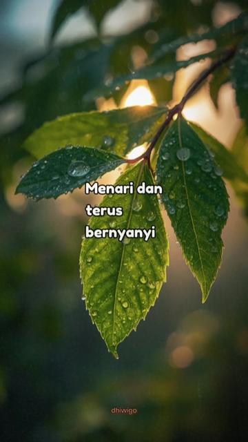 @idhiwigo