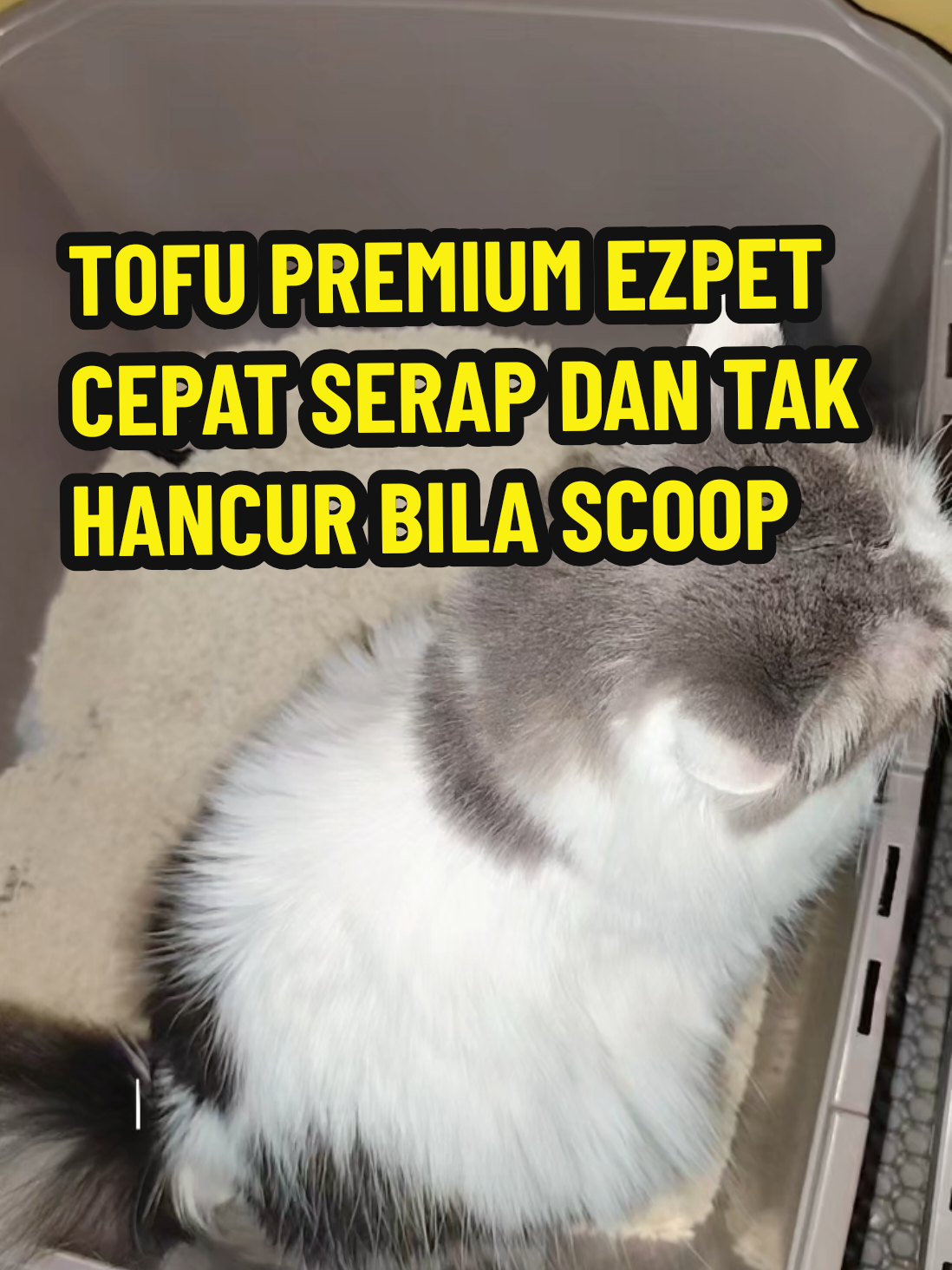 @Omma Kucing 🇲🇾🍉