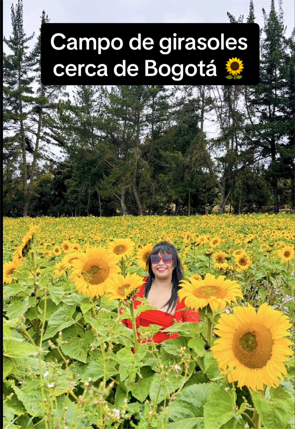 @Dess Viajera 🧳