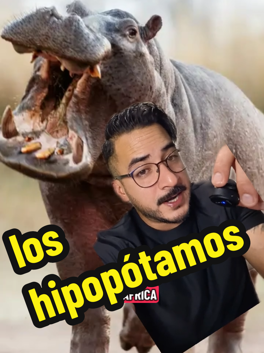@nolosejose