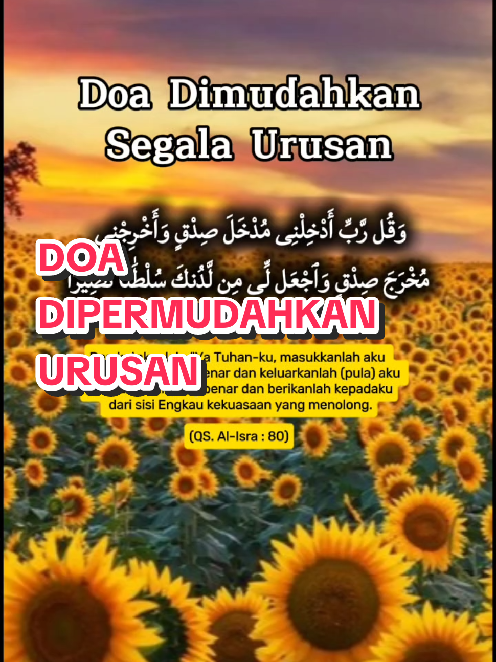 @mirazaidi