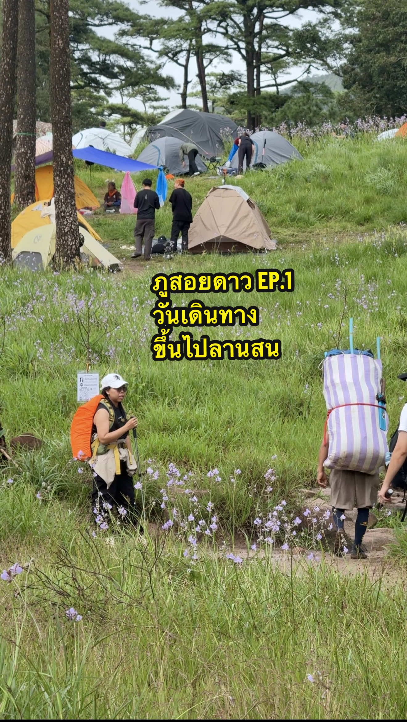 @คู แป้ง