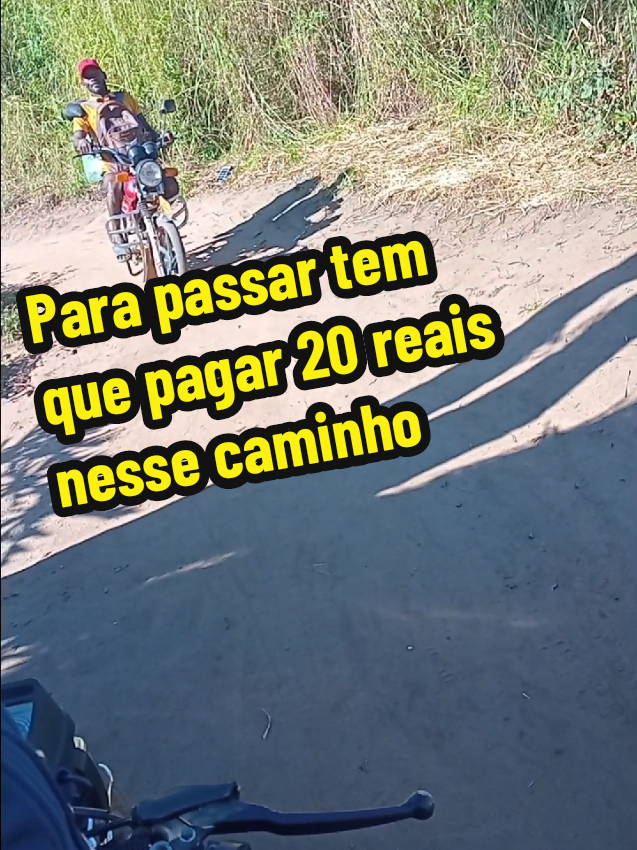 @professor Macabe&ccedil;a