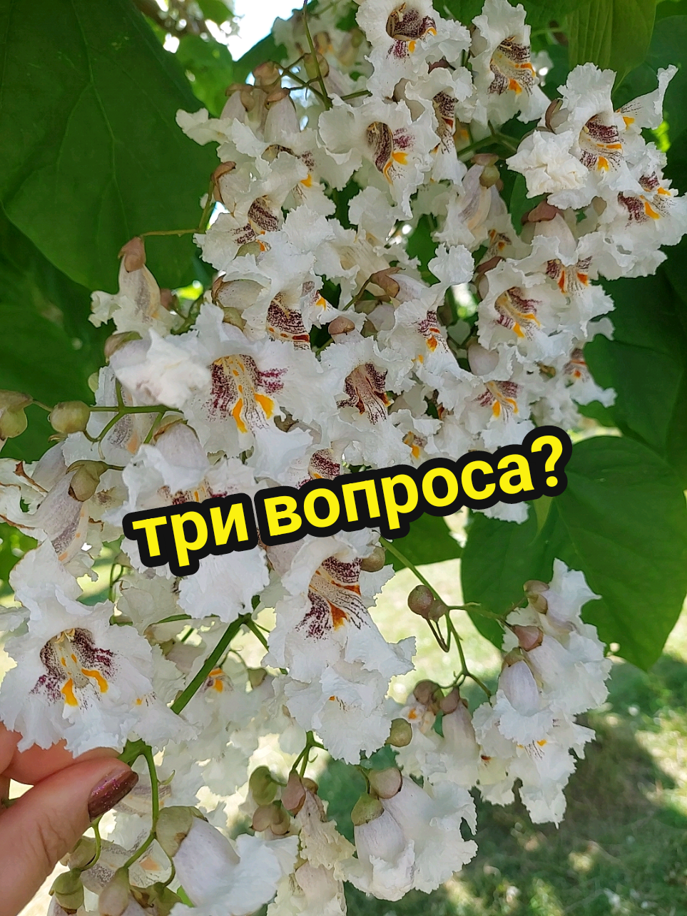 @Рыся✔️🇧🇾