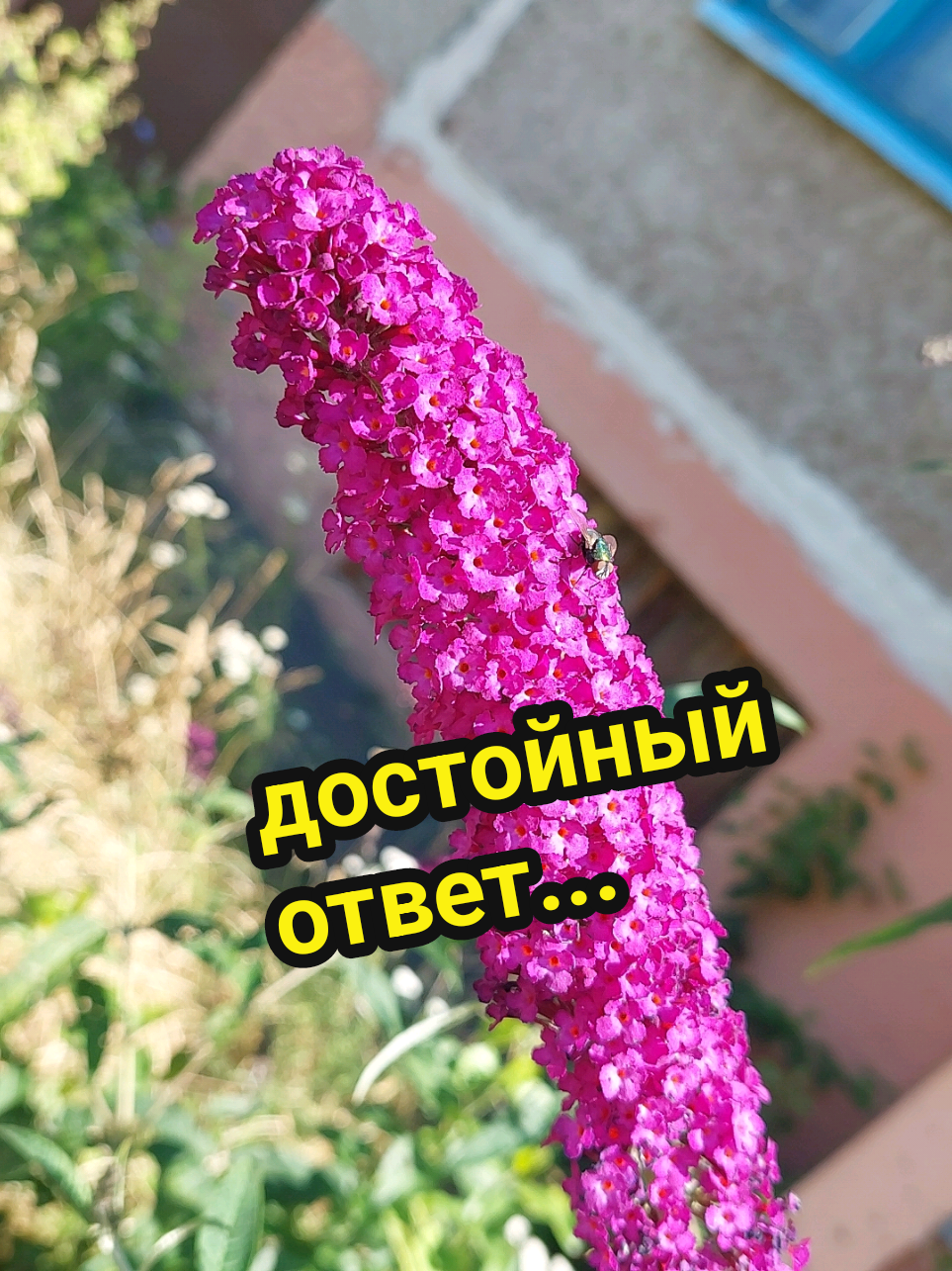@Рыся✔️🇧🇾