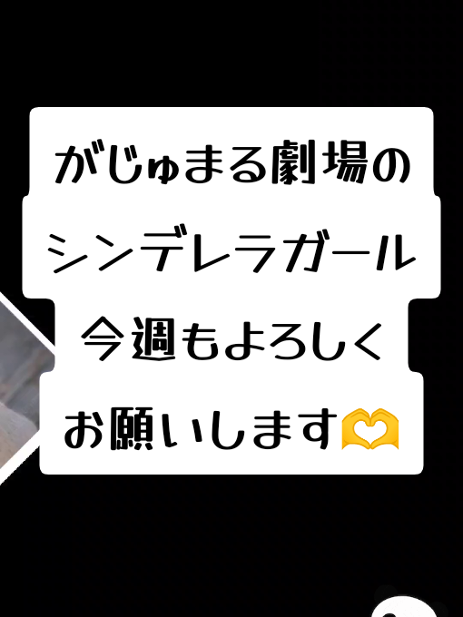 @がじゅまる隊長️🐼🐾