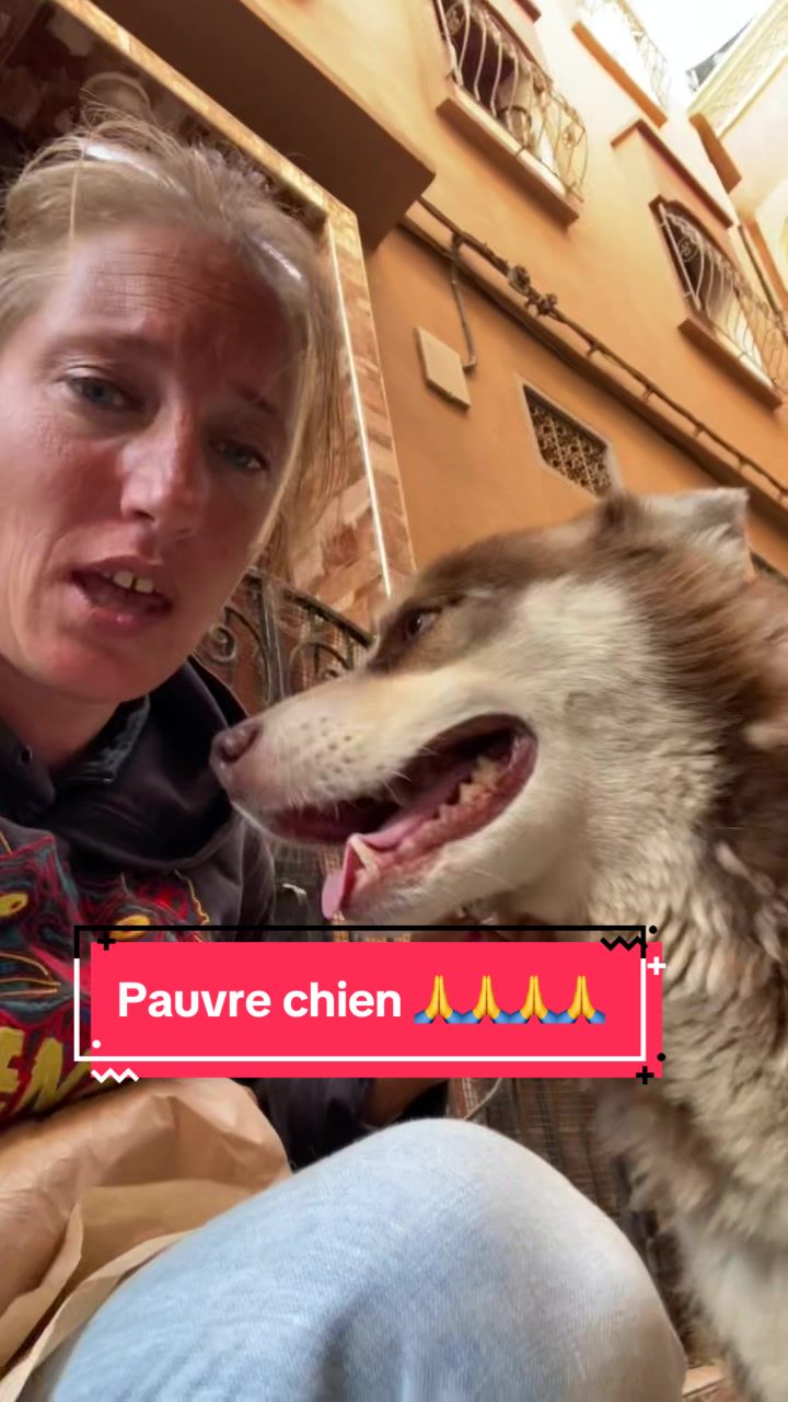 @Les&ensp;&eacute;curies&ensp;de&ensp;la&ensp;roseraie