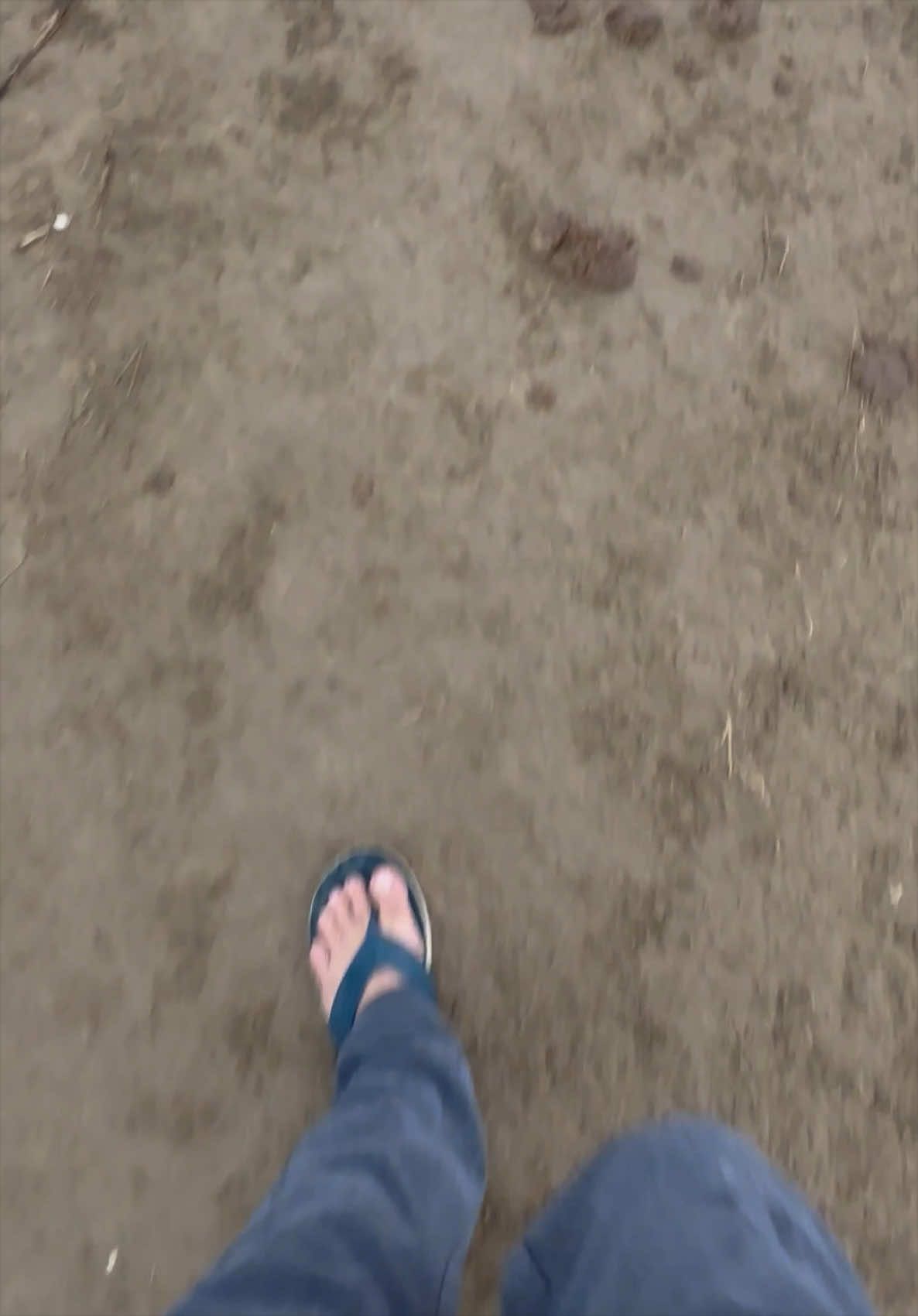 @ابو تيسير