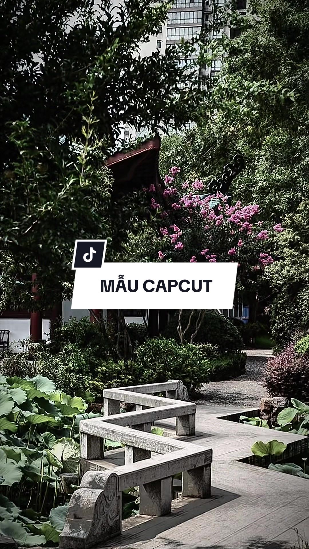 @TH&Agrave;NH TRƯỜNG ☄️