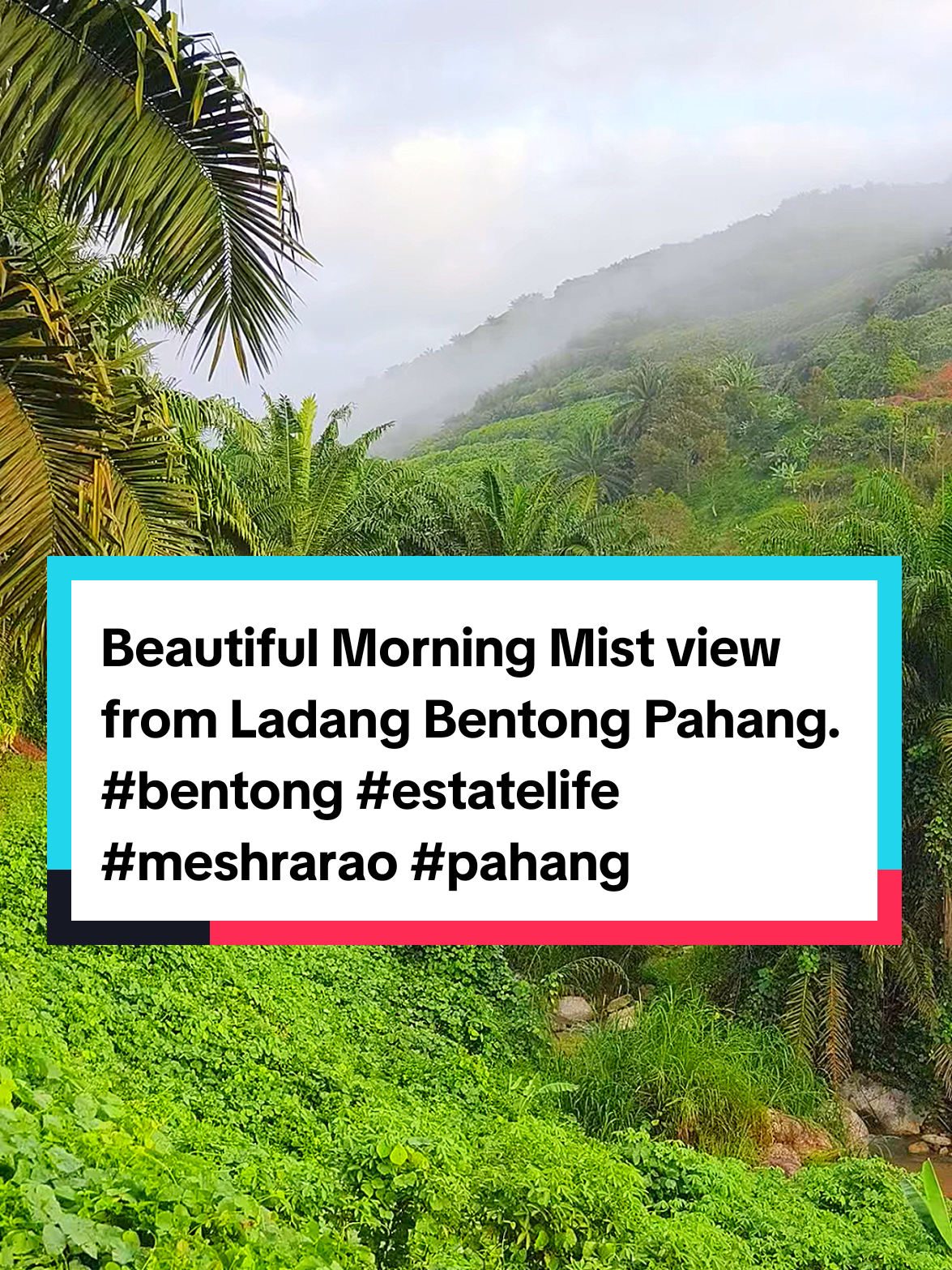 @Meshra Rao