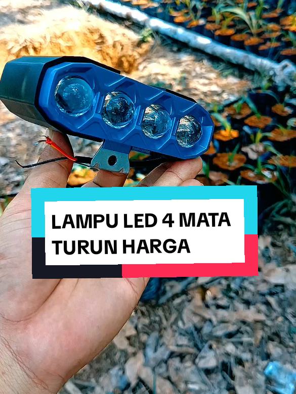@yunfa lovers