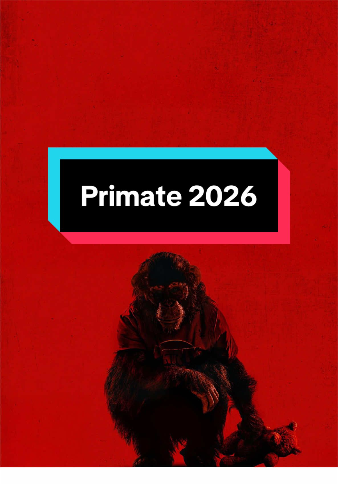 @MR_movies201