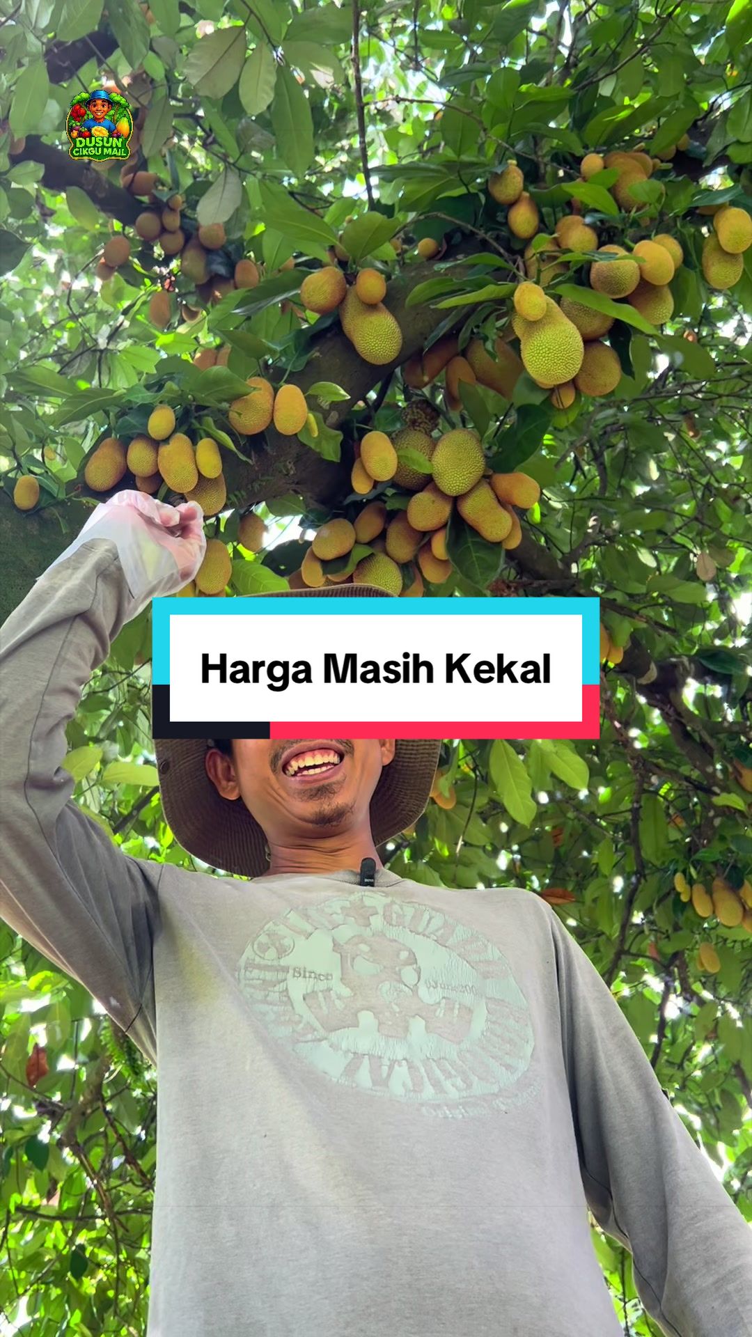 @Dusun Cikgu Mail